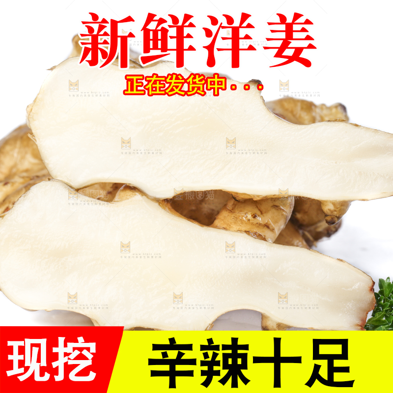 白底上的陕北高原洋姜