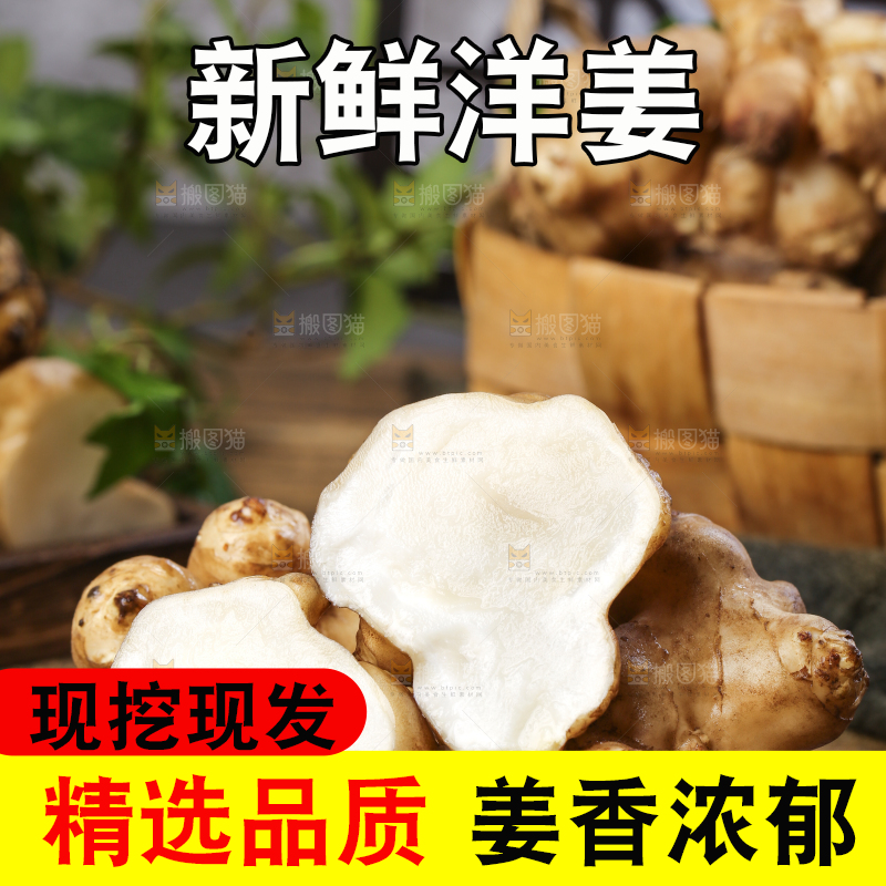 木板上的洋姜