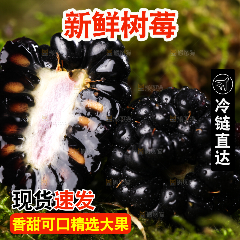 切开的黑树莓放在草地上
