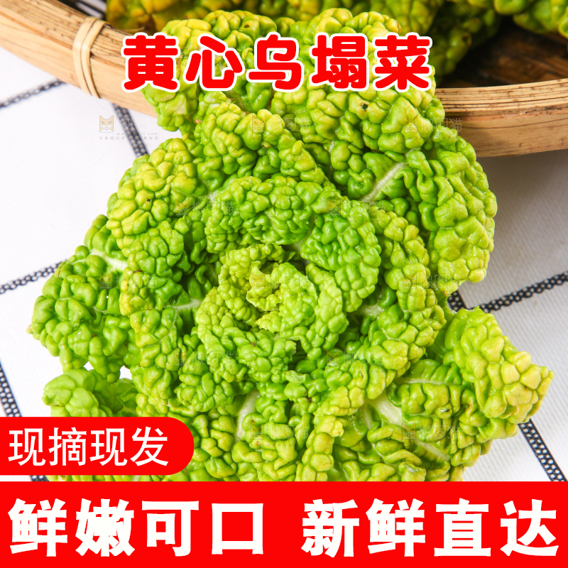 篮子里装着乌塌菜