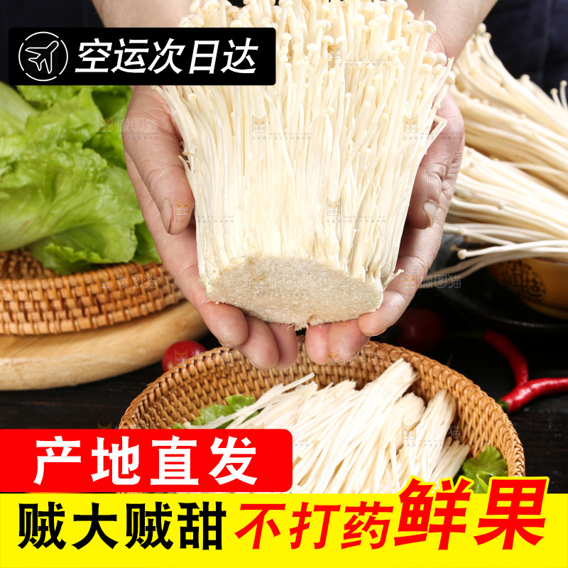 手拿新鲜金针菇