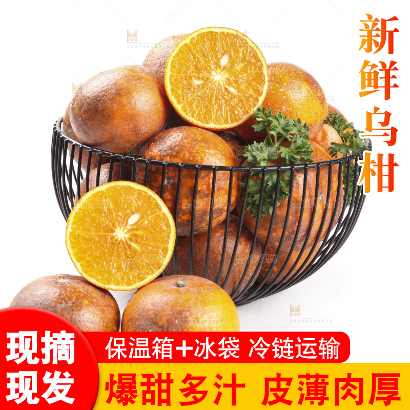 框子里装着新鲜乌柑