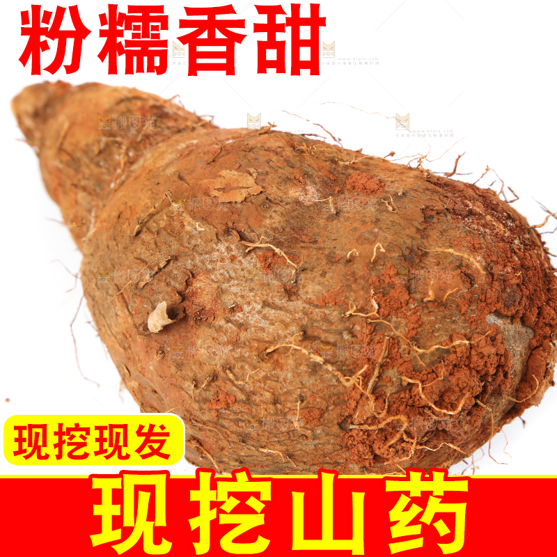 白底上的糯米金秤砣山药