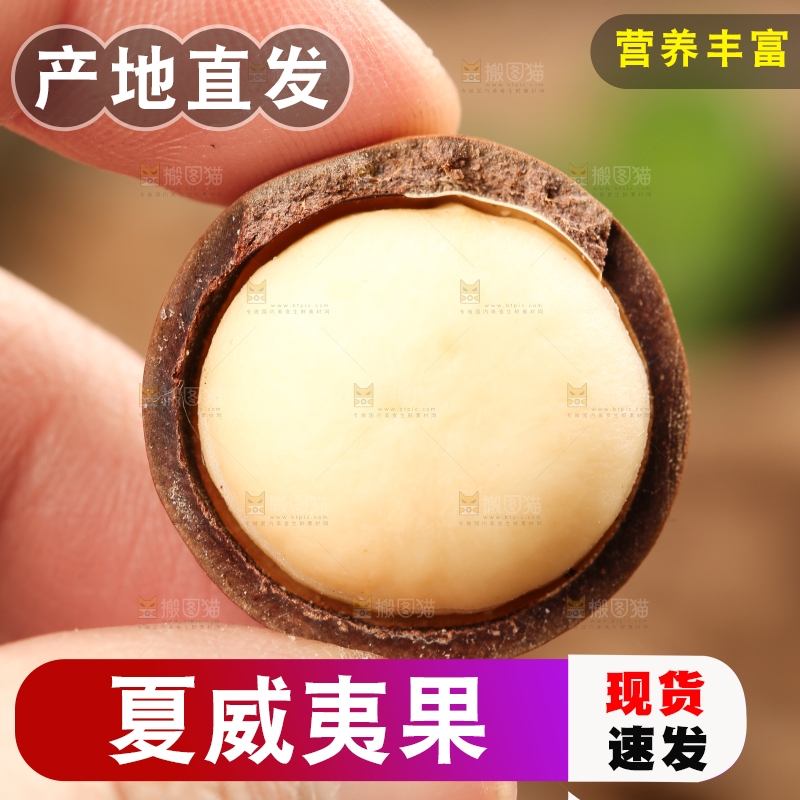 手拿夏威夷果