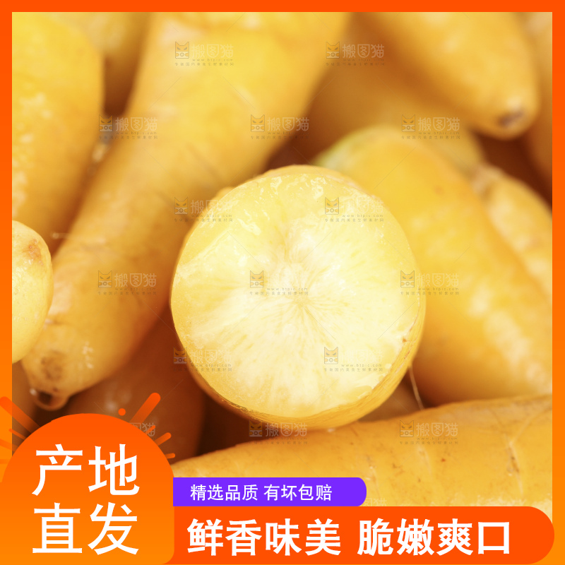 白底上摆放着黄心胡萝卜