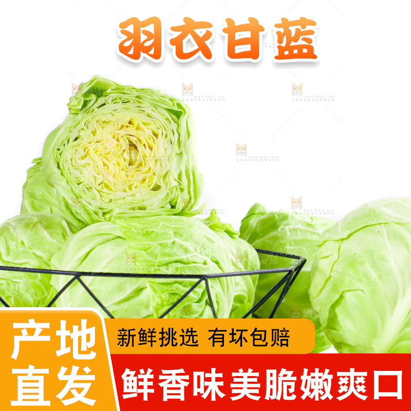 篮子里装绿甘蓝