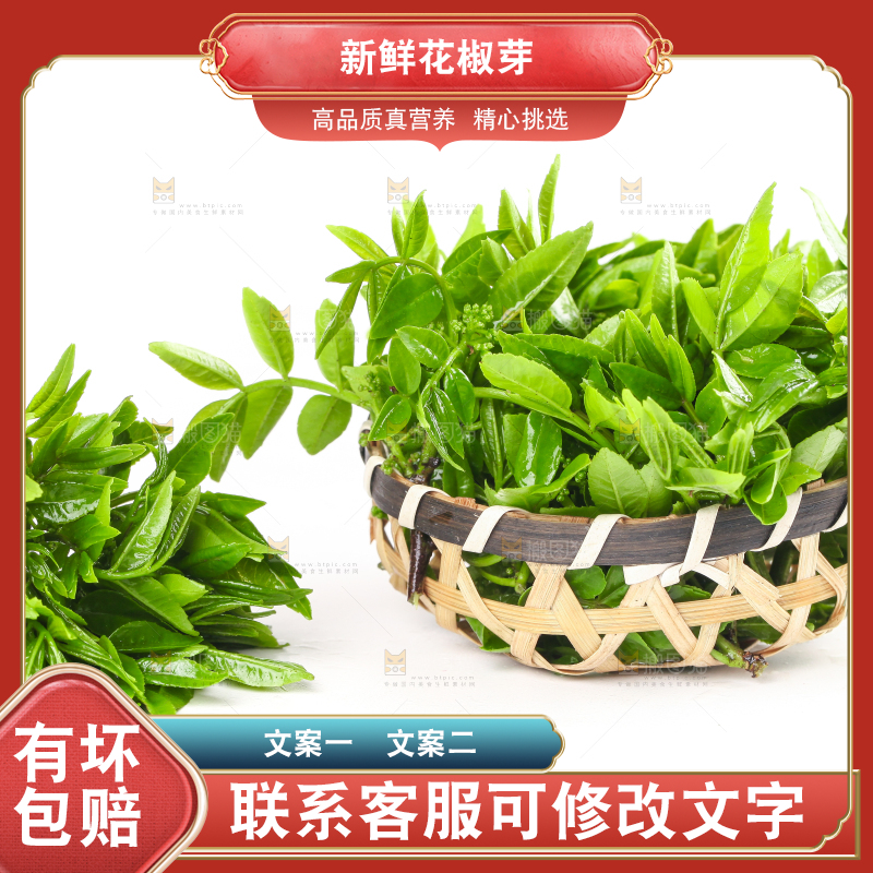 一筐野生花椒芽放在白底上