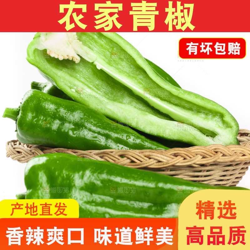 篮子里装着菜椒