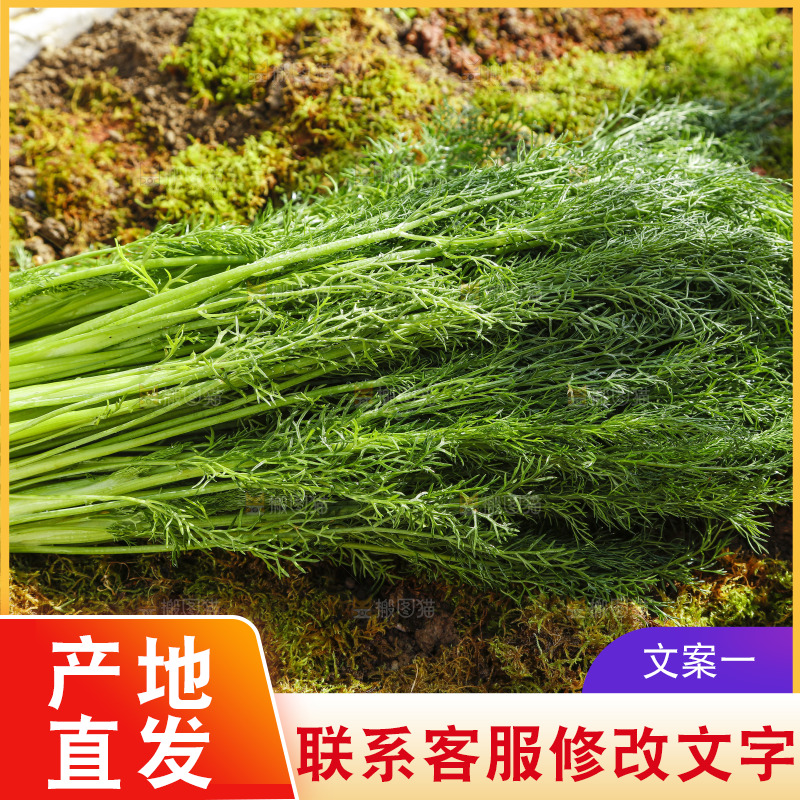 土地上放着茴香菜