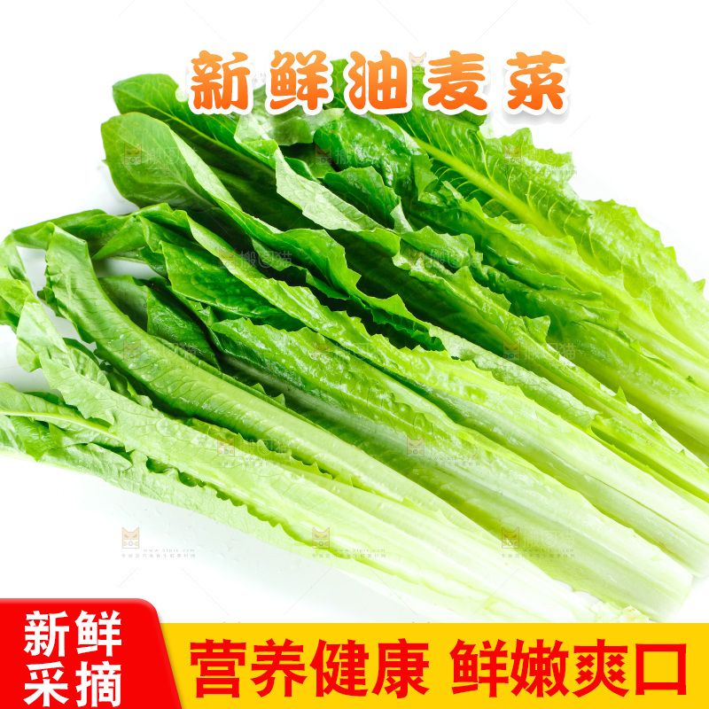 白底上放着油麦菜