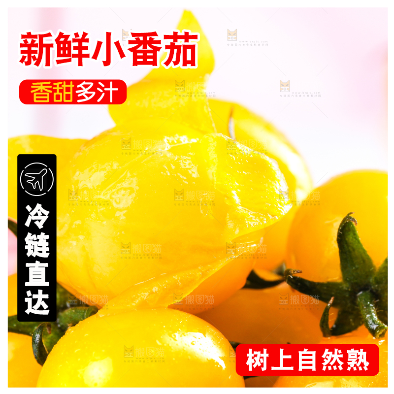 浅底上的黄金圣女果