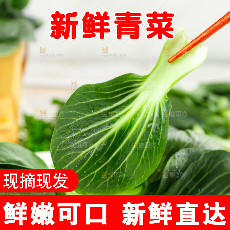 盘子里装着苏州青