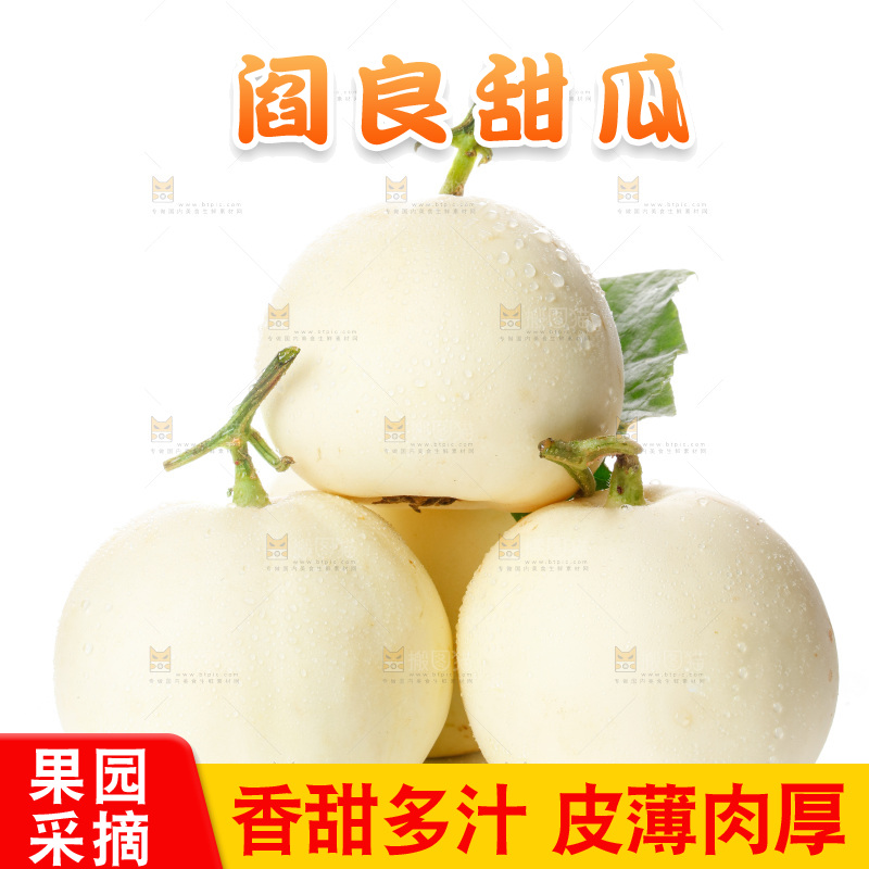 白底上的阎良甜瓜