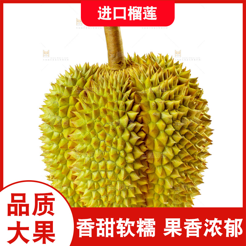 榴莲主图