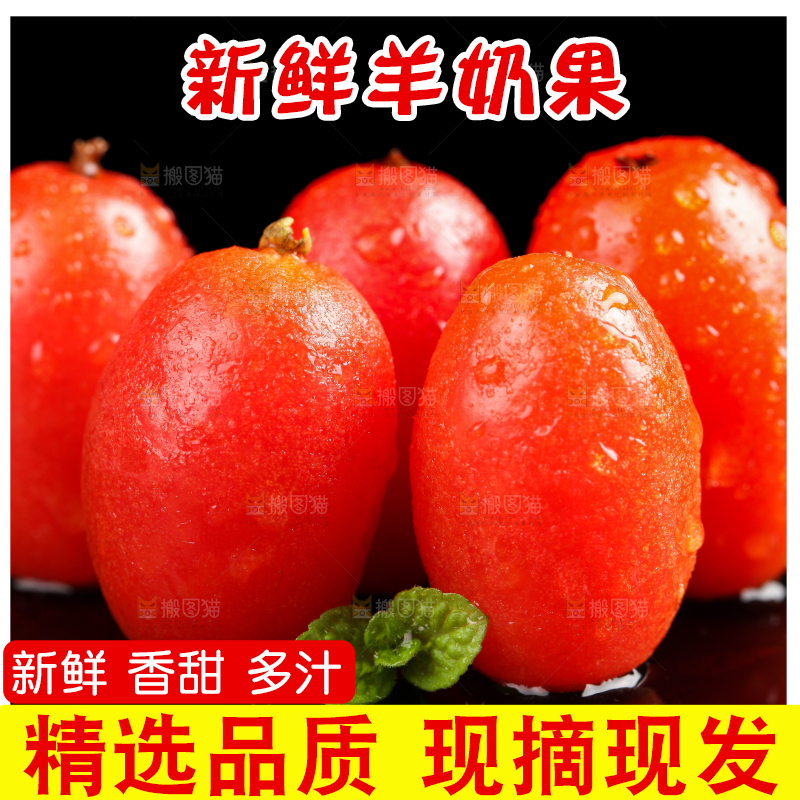 黑底上放着新鲜羊奶果
