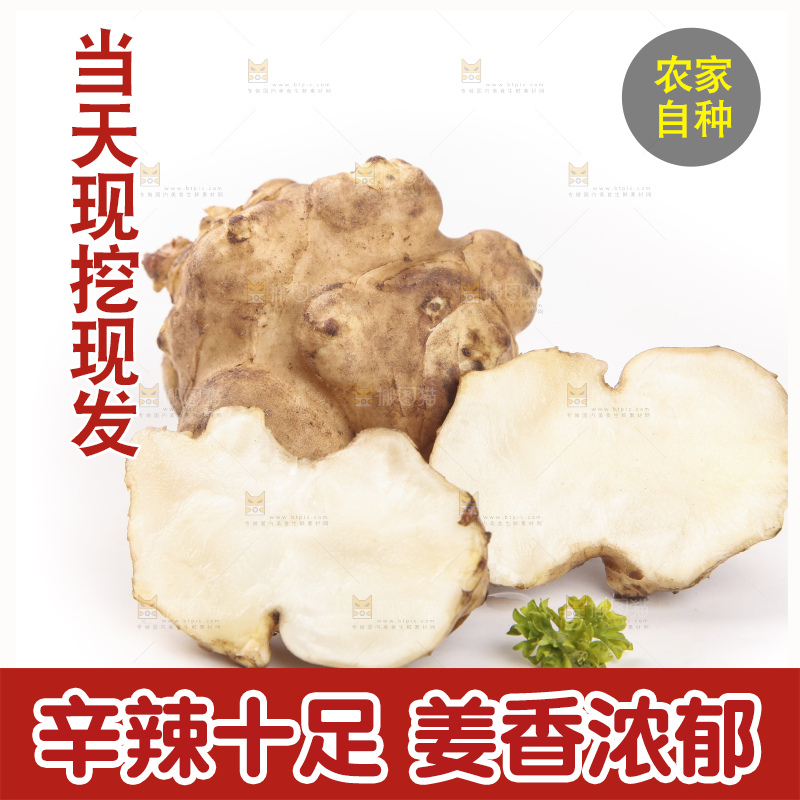 白底上摆放着新鲜洋姜