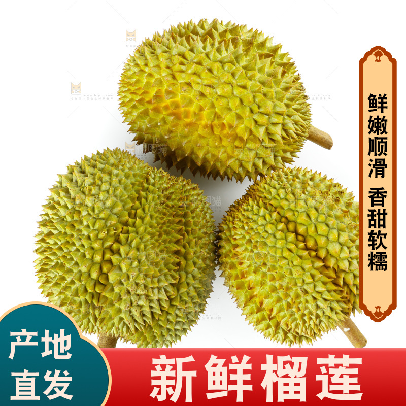 白底上的新鲜榴莲