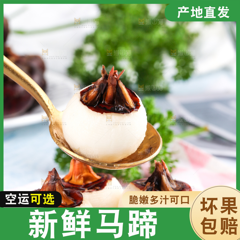 彩底上放着红马蹄