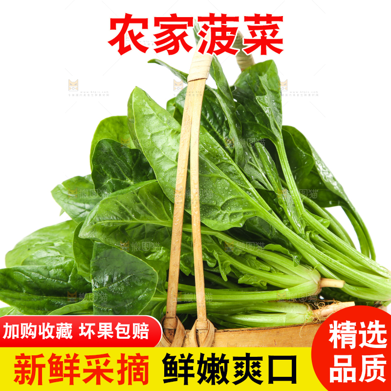 白底上放着菠菜