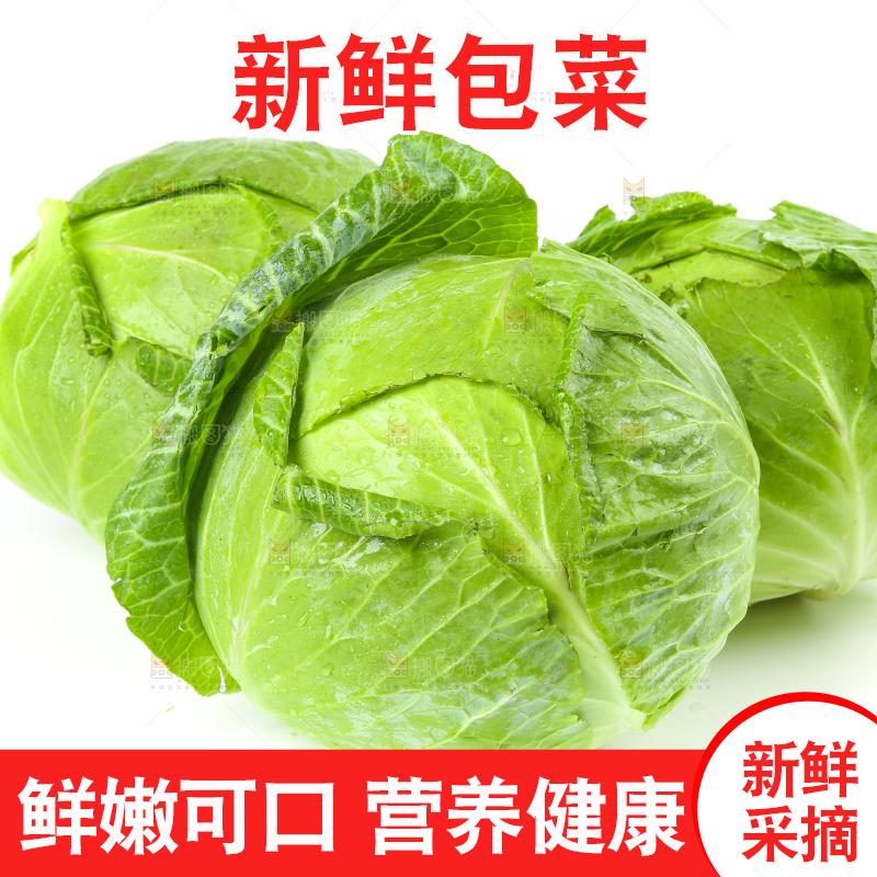 陕西新鲜莲心白放在白底上