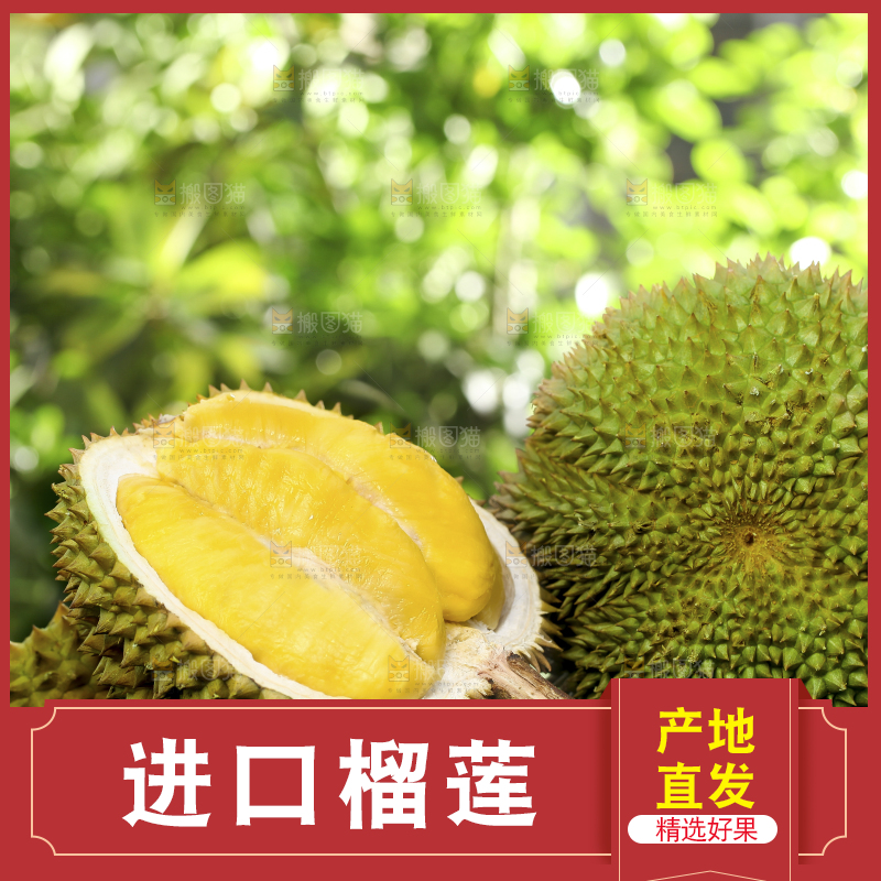 榴莲主图