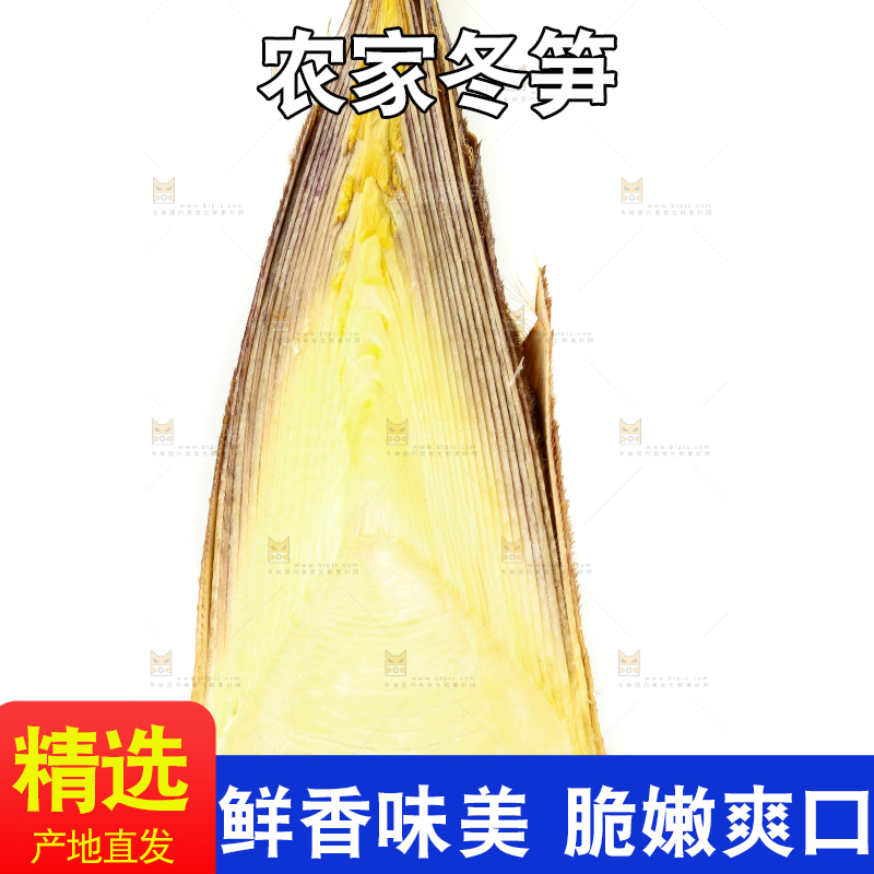 切开的冬笋放在白底上