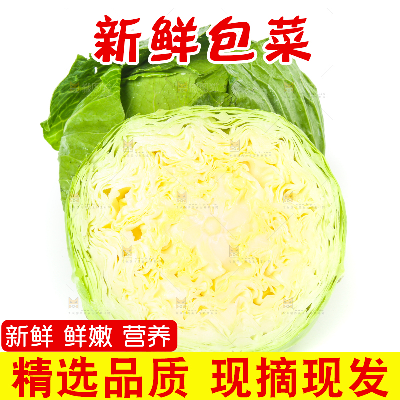 切开的包菜放在白底上