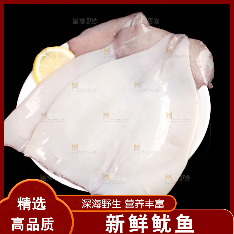 黑底上的野生大鱿鱼