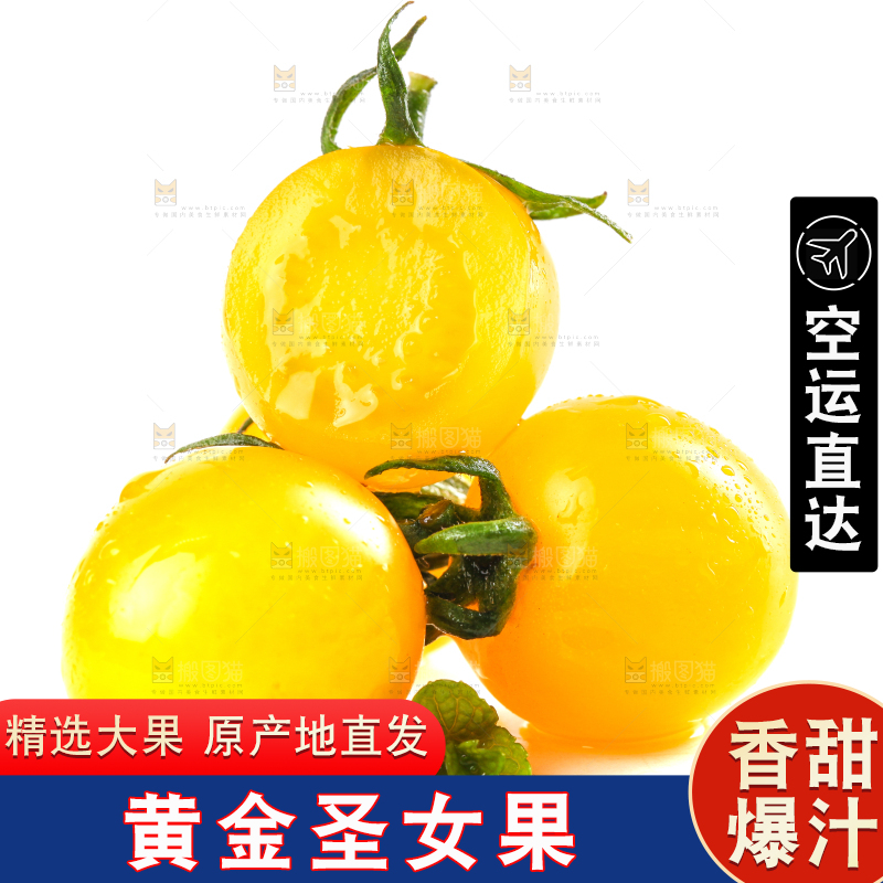 切开的黄金小番茄放在白底上