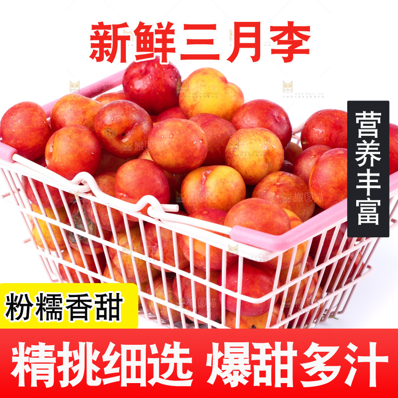 白底上的钱排三月李