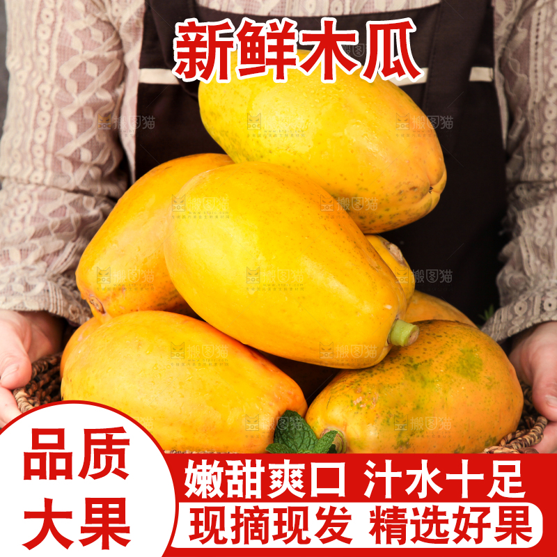 篮子里装着雷州冰糖木瓜