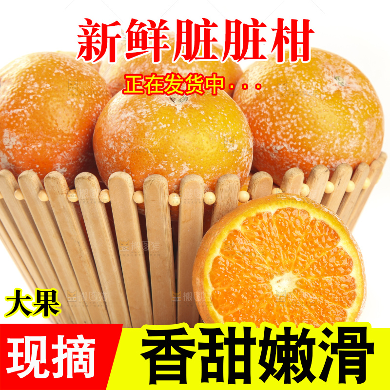 白底上放着一筐广西武鸣茂谷柑