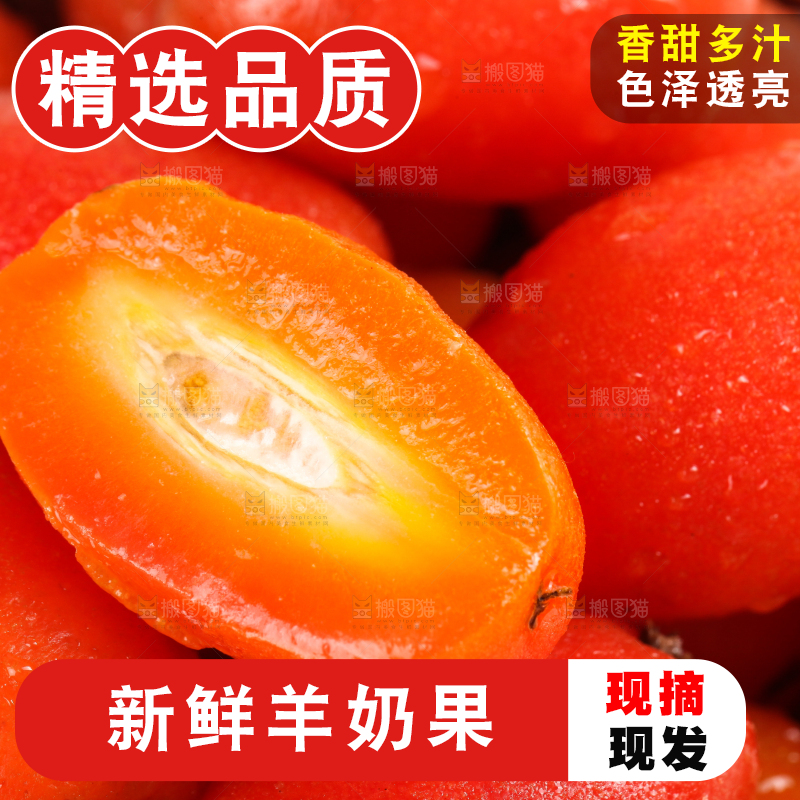 一筐临沧甜羊奶果放在白底上