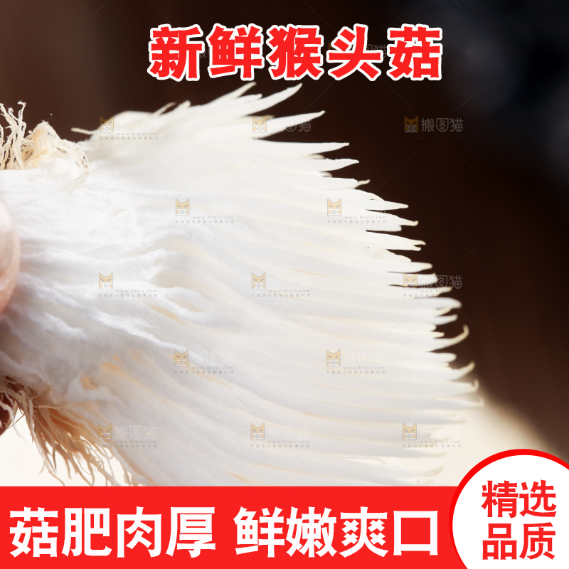 手里拿着长白山猴头菇