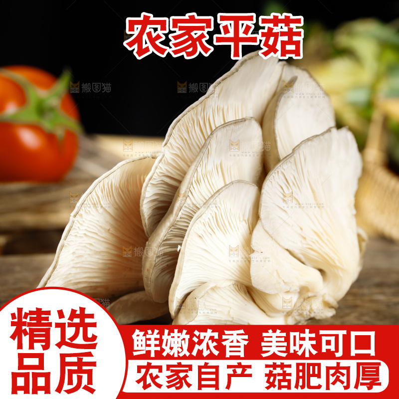 木底上的新鲜平菇