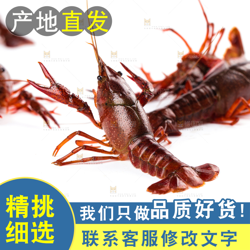 白底上放着潜江小龙虾