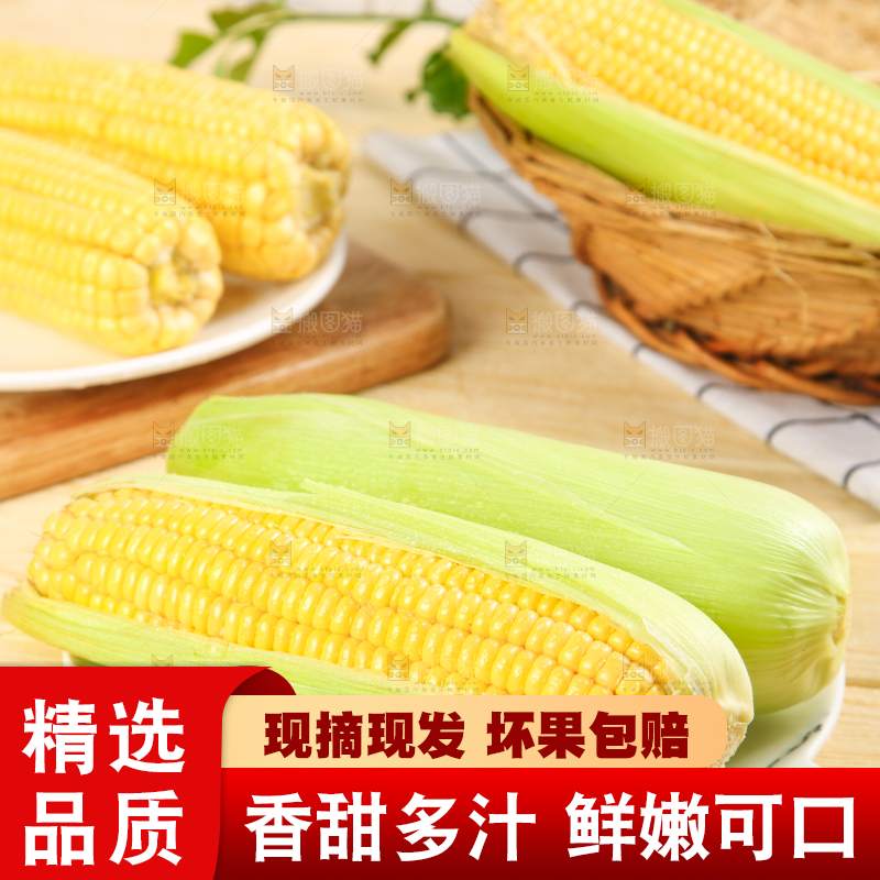 盘子里装着东北玉米