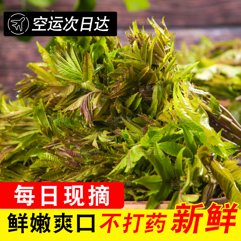 木底上放着一盘香椿芽