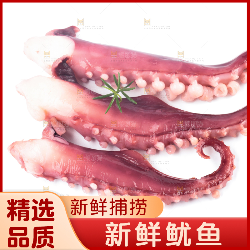 白底上的大鱿鱼