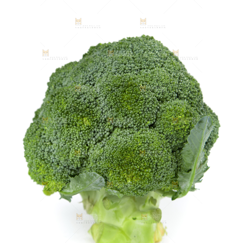 白底上的新鲜西兰花