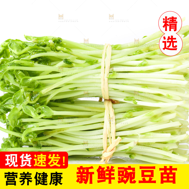 白底上放着豌豆芽菜