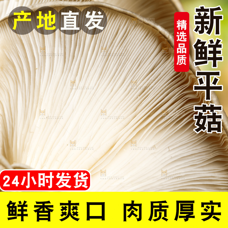 木底上的平菇