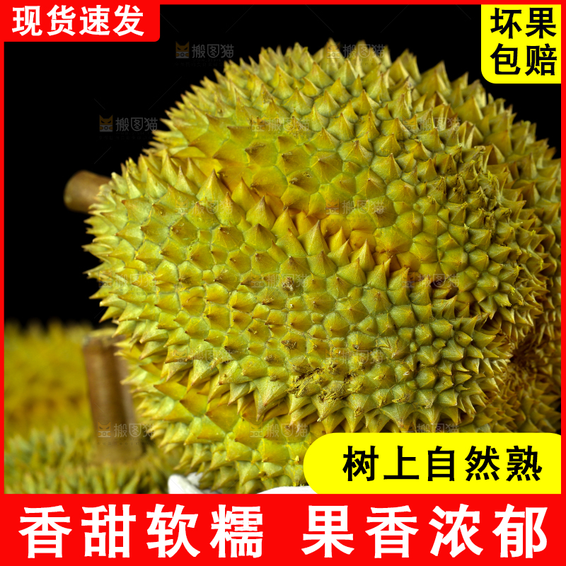 盘子里装着泰国甲仑榴莲