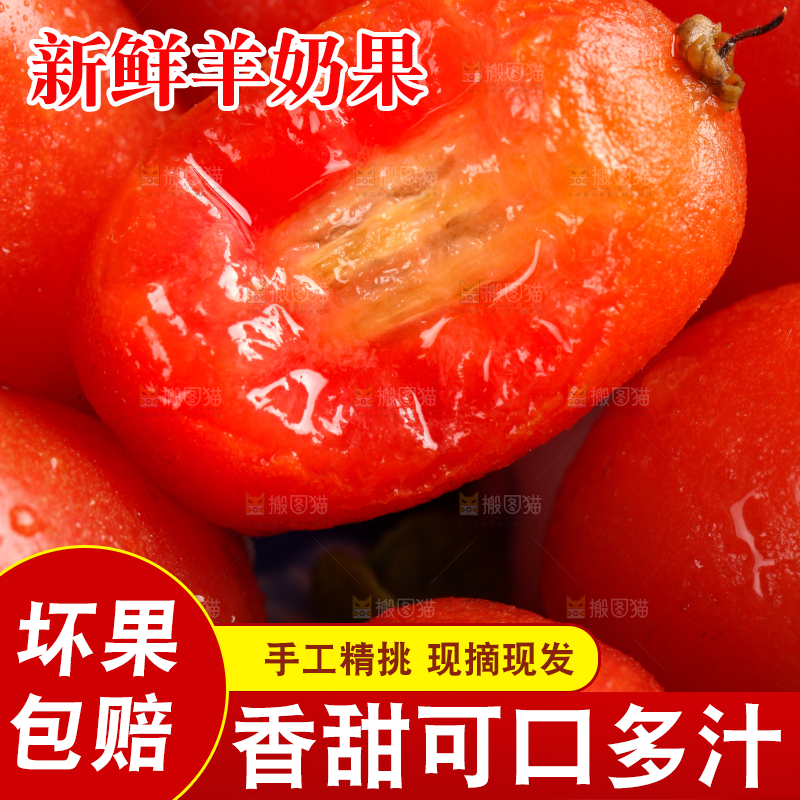 黑底上放着一碗胡颓果