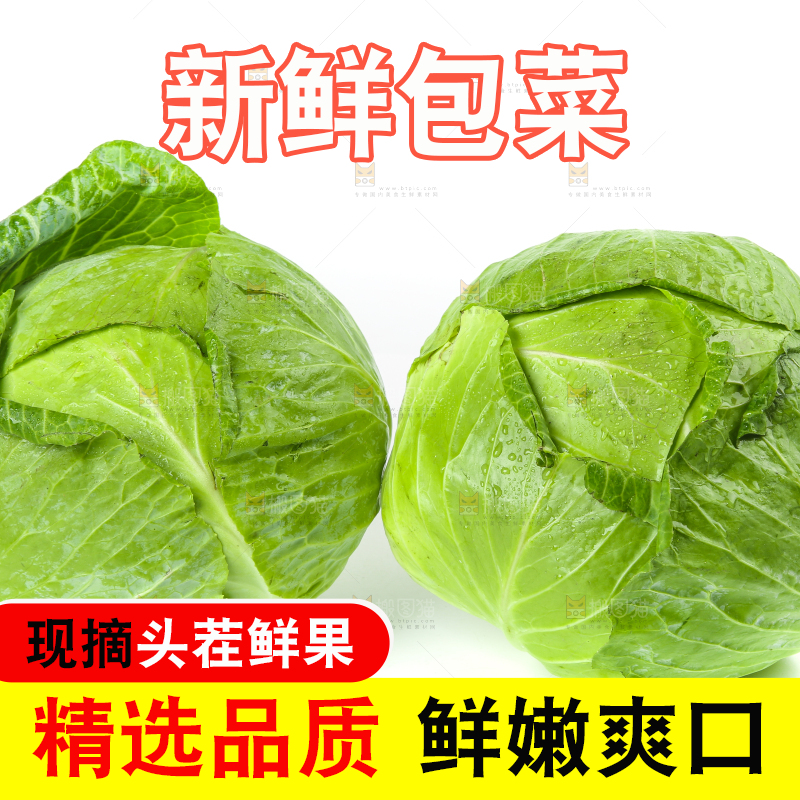 白底上的包心菜