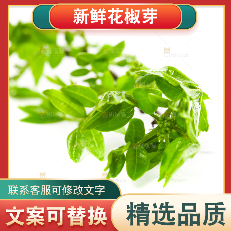 白底上放着花椒芽