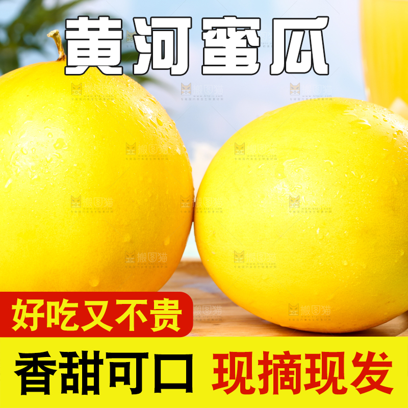 木底上的黄河密瓜