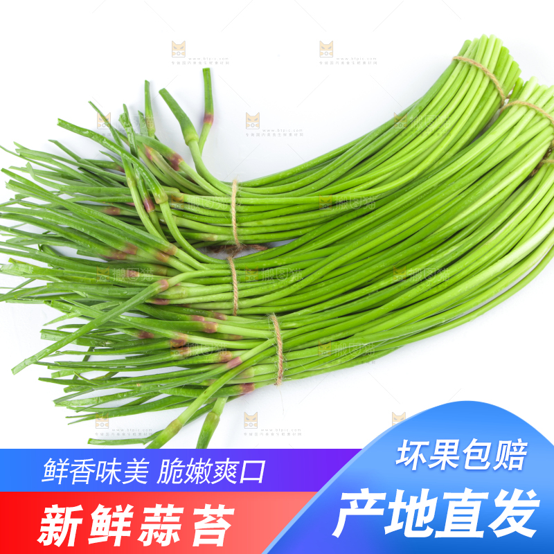 白底上的鲜嫩蒜苔