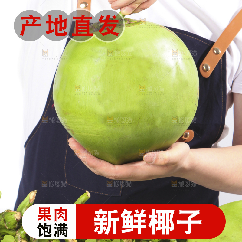 手拿大椰青