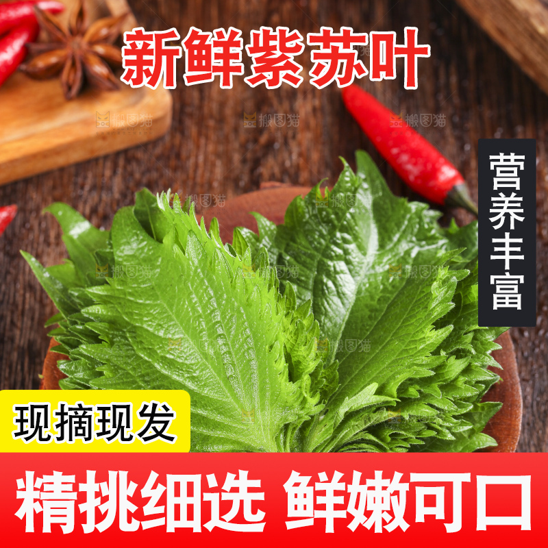 木底上的新鲜紫苏叶